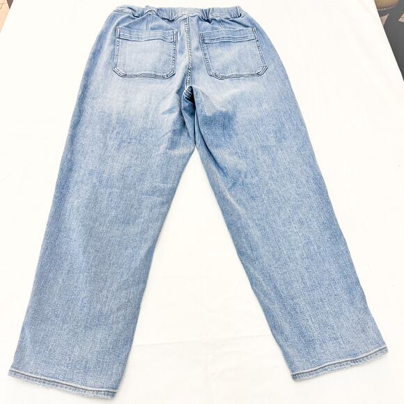 Madewell Pull-On Carpenter Denim Jeans Light Wash Size Medium - Picture 3 of 9